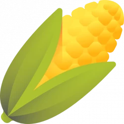 corn