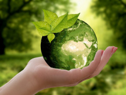 Top 10 Benefits of Recycling