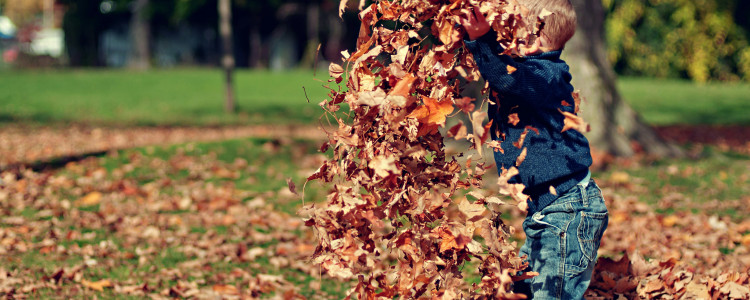 Fall Activities in Denver, CO