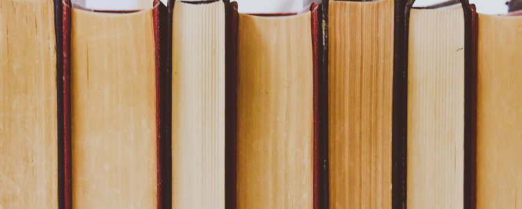 Gone for Good is a Book Lover’s Paradise