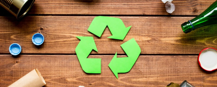 How to Start a Successful Eco-Friendly Business and Make a Positive Impact