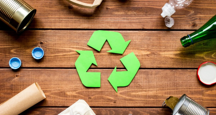 How to Start a Successful Eco-Friendly Business and Make a Positive Impact
