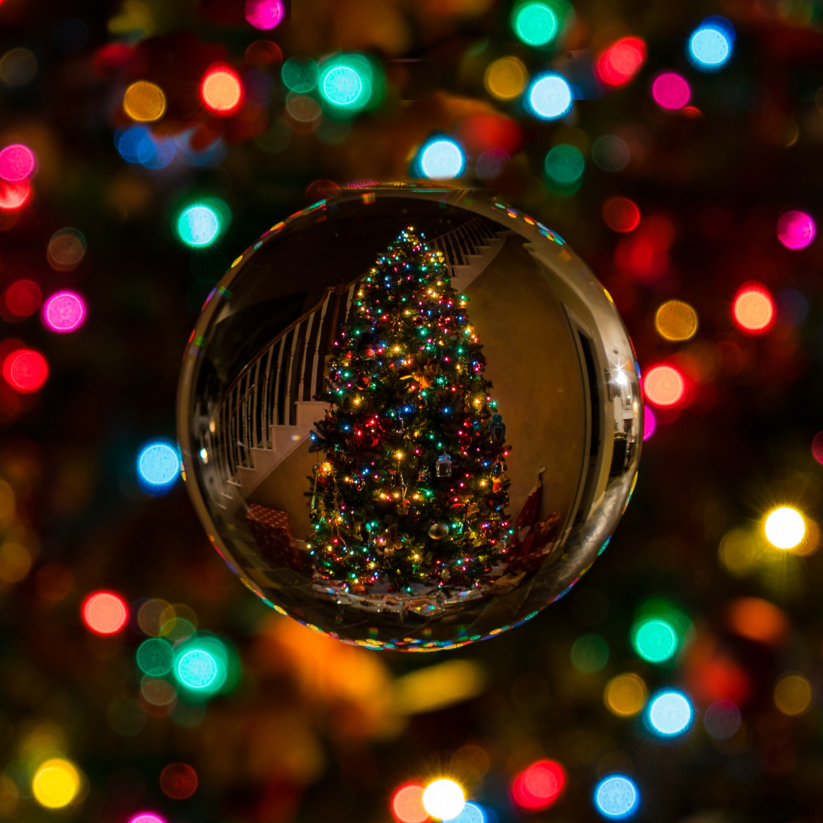Recycle Your Christmas Tree With Gone for Good 