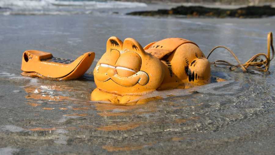 The Garfield Problem